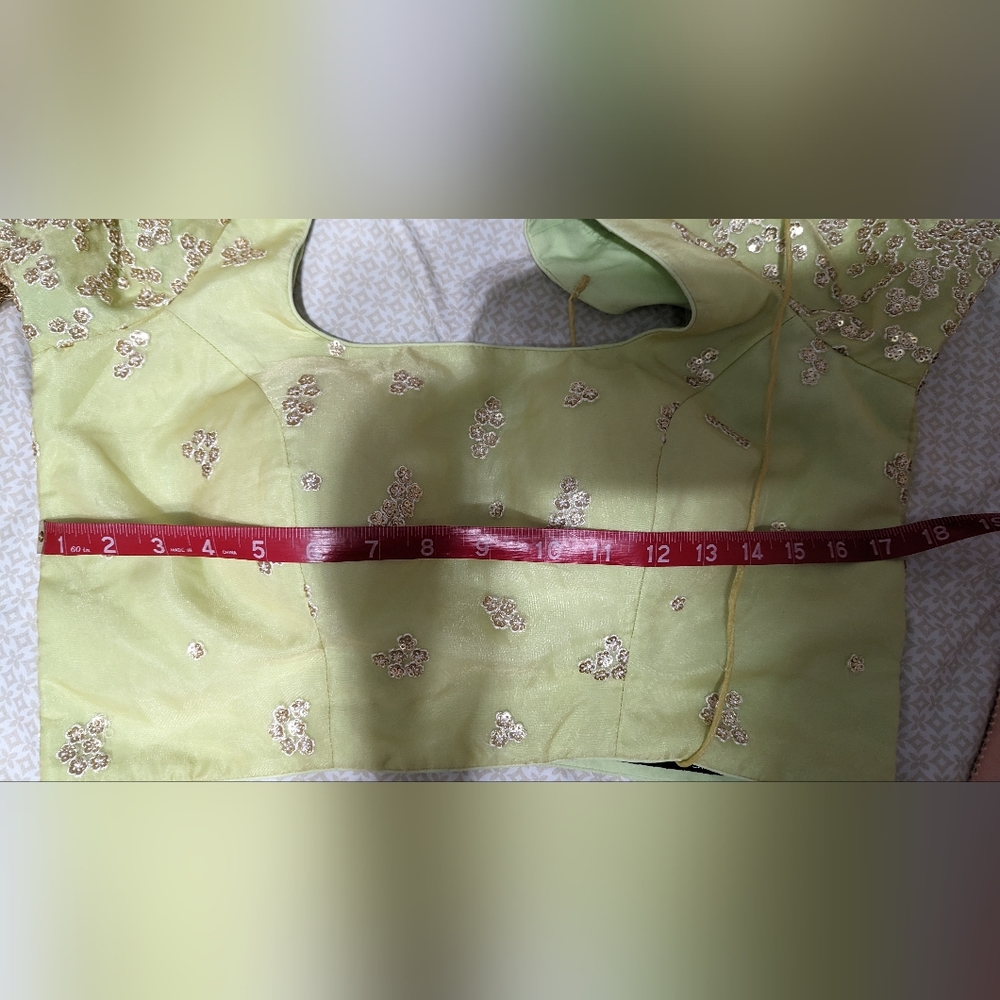 New Sushma Patel Lehenga Indian - Picture 8 of 8